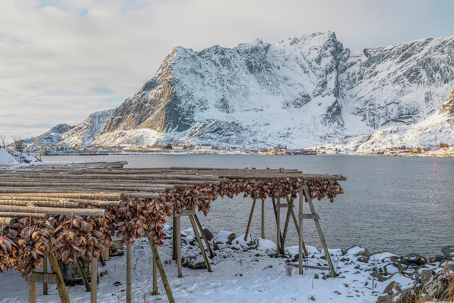 Reine, Lofoten - Norway #15 Photograph by Joana Kruse