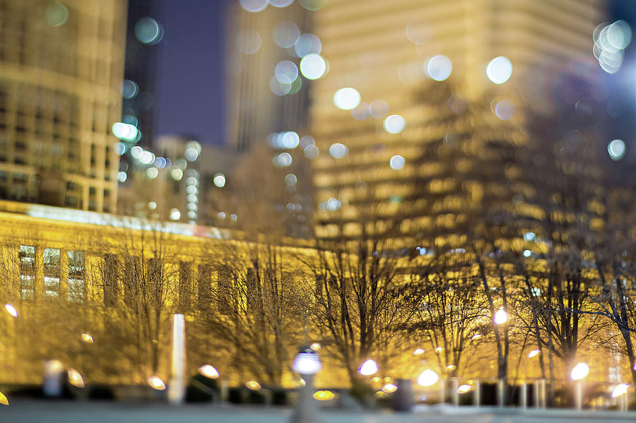 scenes around city of CHicago Illinois at night #15 Photograph by Alex Grichenko