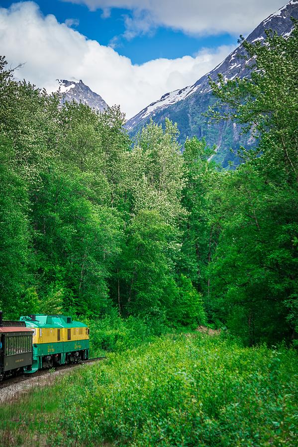 Scenic train from Skagway to White Pass Alaska #15 Photograph by Alex Grichenko