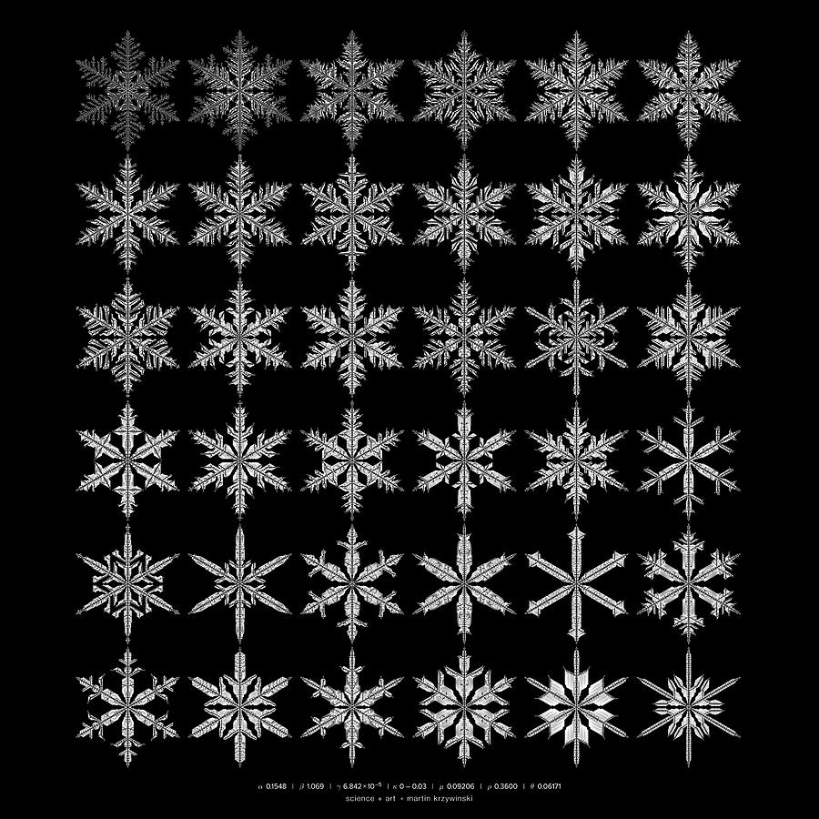 Snowflakes Digital Art - Snowflake simulation #15 by Martin Krzywinski