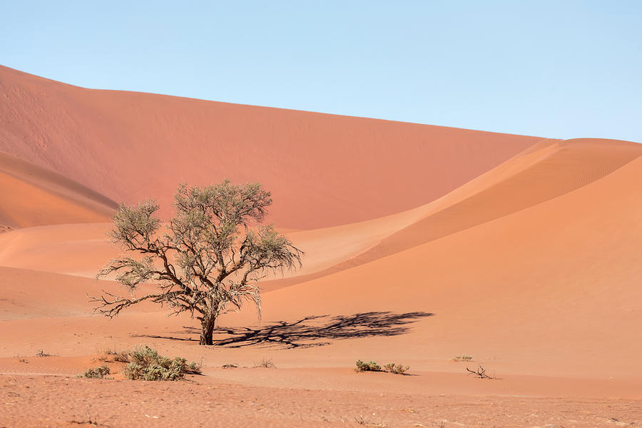 Sossusvlei - Namibia #15 Photograph by Joana Kruse