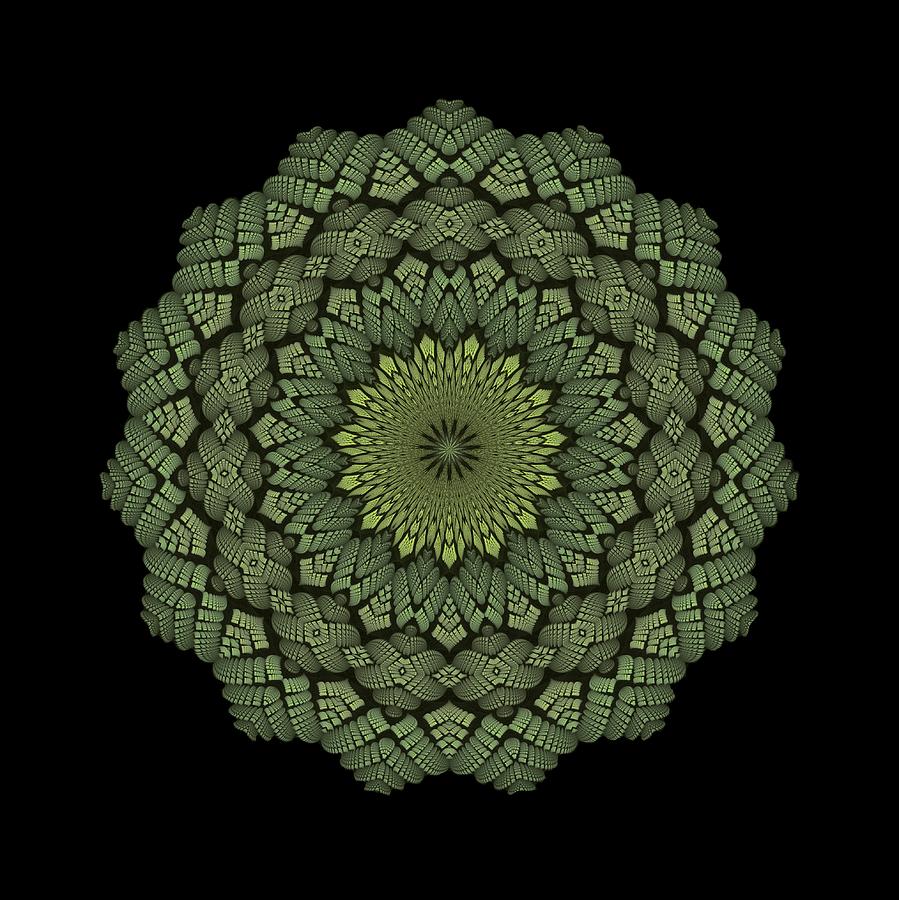 15 Symmetry Celery Bulb Digital Art by Doug Morgan
