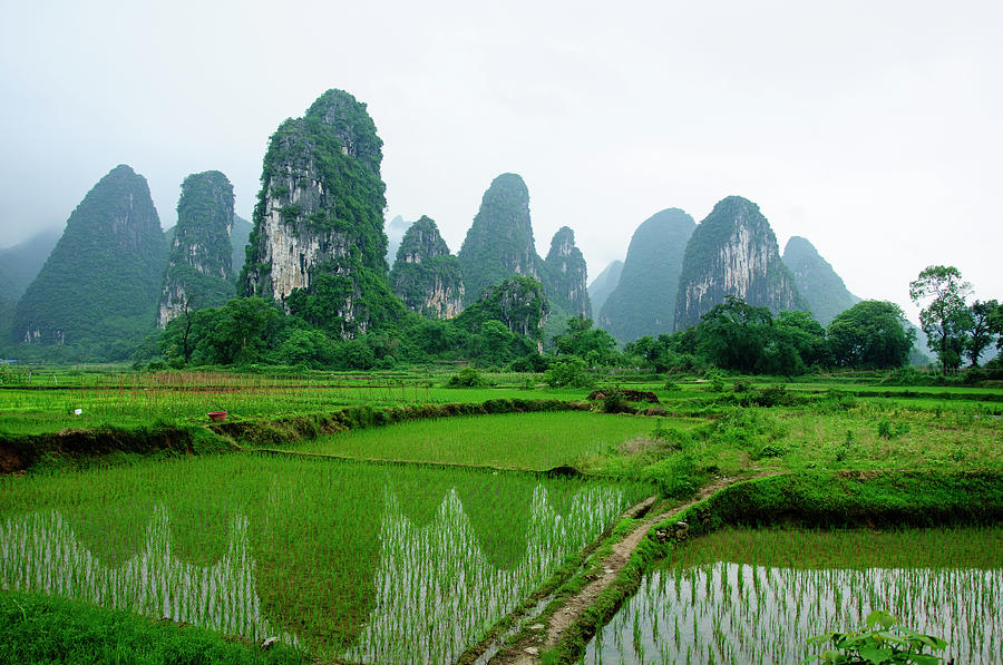 The beautiful karst rural scenery in spring #15 Photograph by Carl Ning