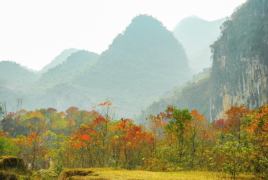 The colorful autumn scenery #15 Photograph by Carl Ning