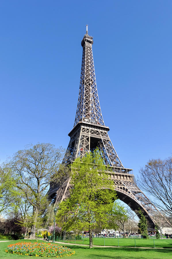 The Eiffel Tower in Paris #15 Photograph by Dutourdumonde Photography