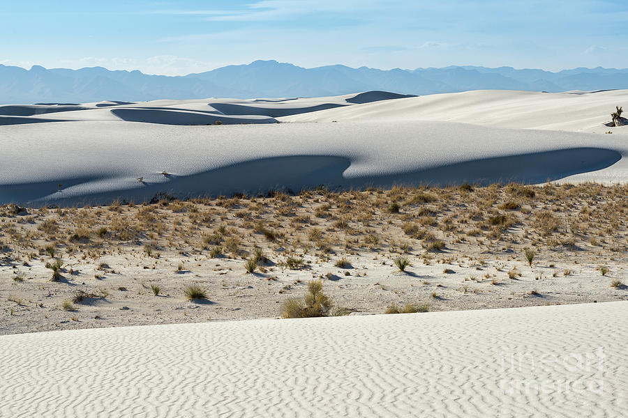 The unique and beautiful White Sands National Monument in New Mexico ...