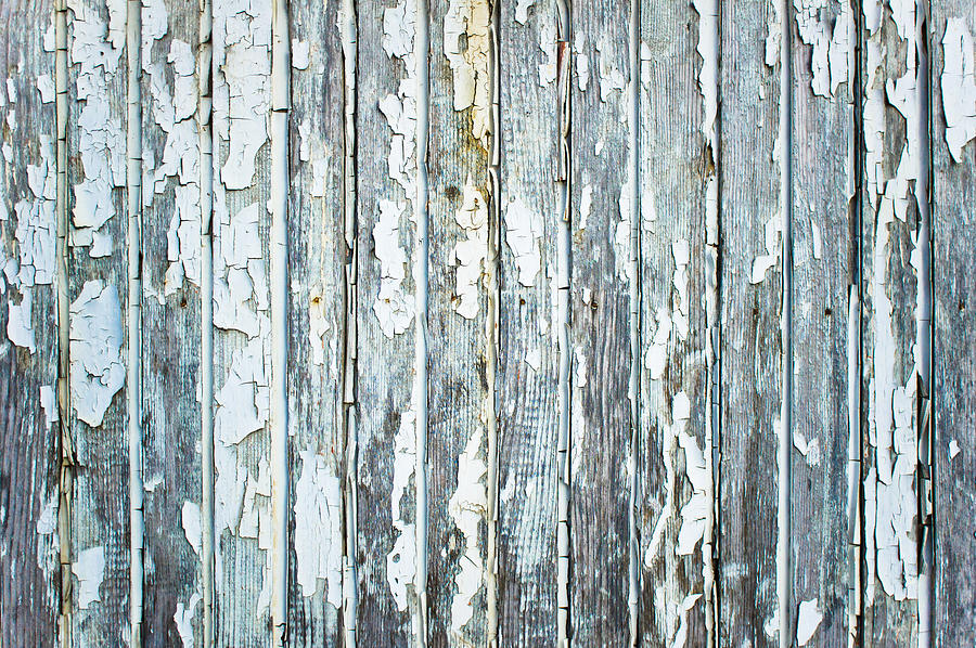 Abstract Photograph - Weathered wood #16 by Tom Gowanlock