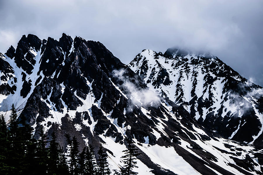 White Pass Mountains In British Columbia #15 Photograph by Alex Grichenko