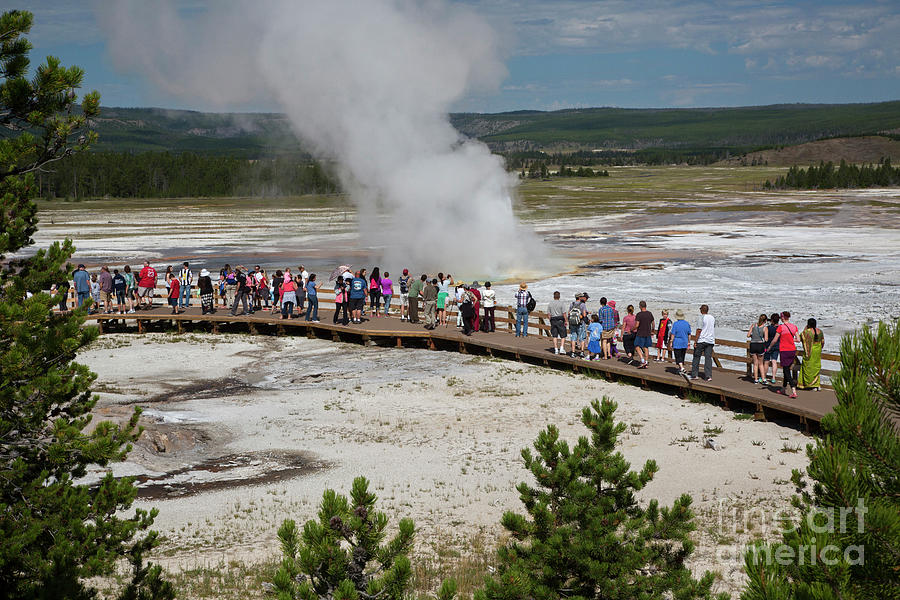 Yellowstone National Park #15 Photograph by Jim West