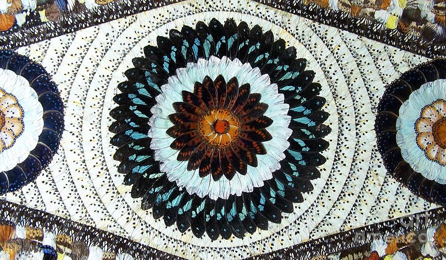 Butterfly Wings Painting - Butterfly Wings by Ayhan Yilmaz Butterfly Wings Painting - Butterfly Wings by Ayhan Yilmaz