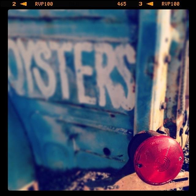 Oysters Photograph - Brake Light by Jeffrey Domke Oysters Photograph - Brake Light by Jeffrey Domke