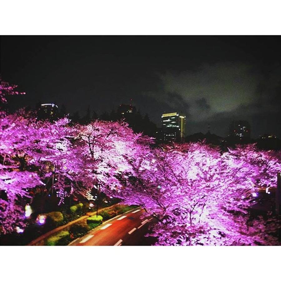 Tokyo Photograph - Instagram Photo #151462968737 by Takami Inoue