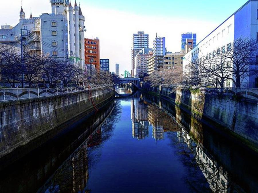 Spring Photograph - Instagram Photo #151570592841 by Okamoto Shintaro