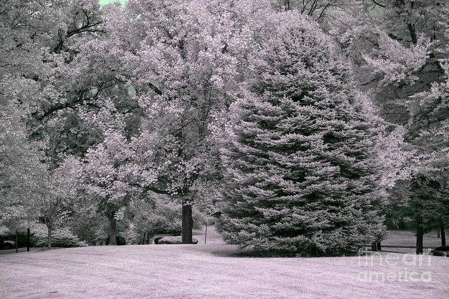 Infrared  #157 Photograph by FineArtRoyal Joshua Mimbs