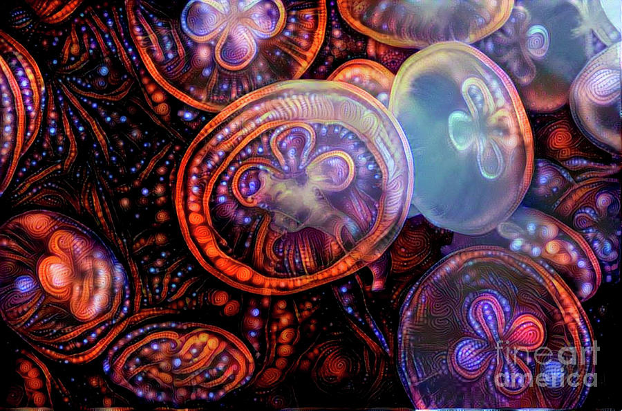 Abstract Jellyfish #16 Digital Art by Amy Cicconi