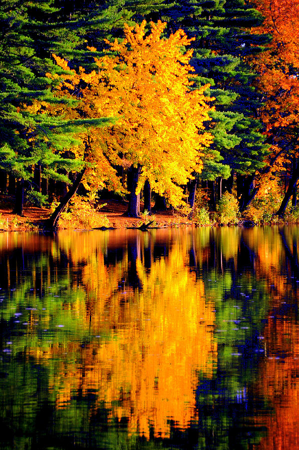 Autumn Colors #16 Digital Art by Aron Chervin