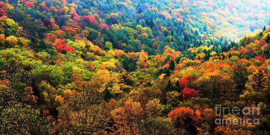 Autumn Highland Scenic Highway #16 Photograph by Thomas R Fletcher