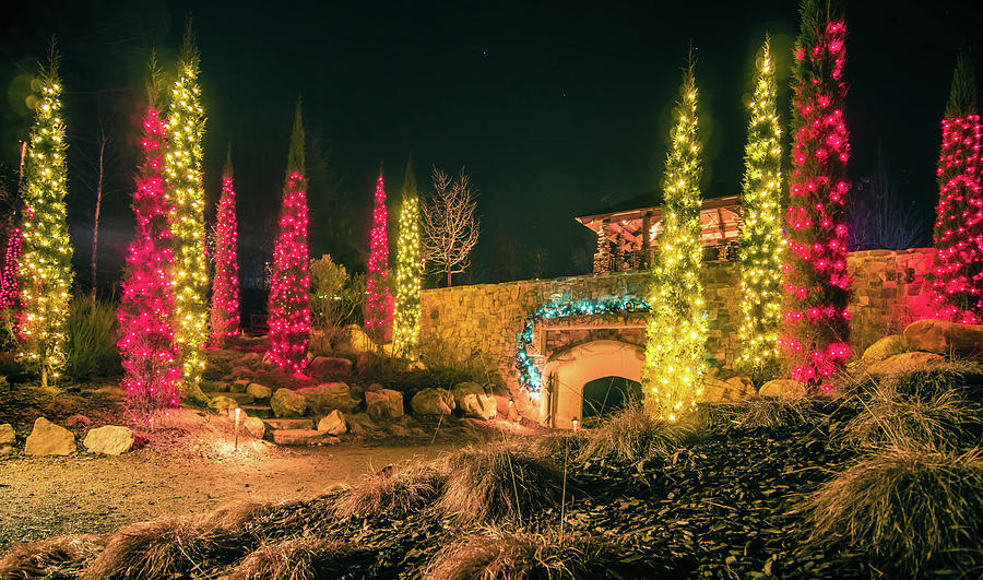 Christmas Season Decorationsafter Sunset At The Gardens #16 Photograph by Alex Grichenko