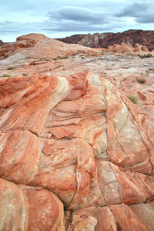 Colorful Sandstone in Valley of Fire #13 Photograph by Ray Mathis