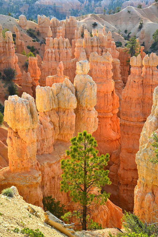 Fairyland Canyon #13 Photograph by Ray Mathis