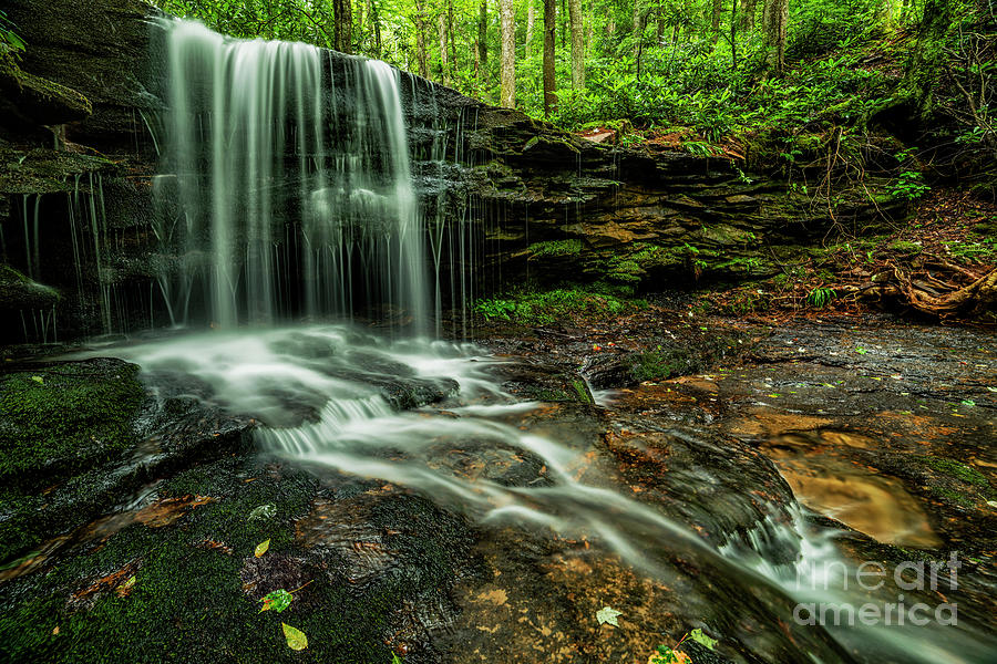 Lin Camp Branch Waterfall #16 Photograph by Thomas R Fletcher