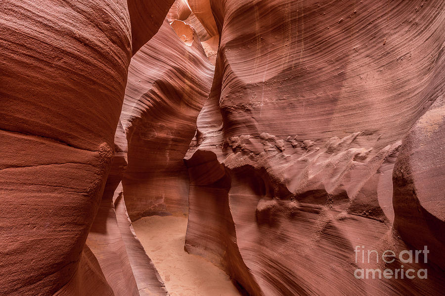 Lower Antelope Canyon #17 Photograph by Craig Shaknis