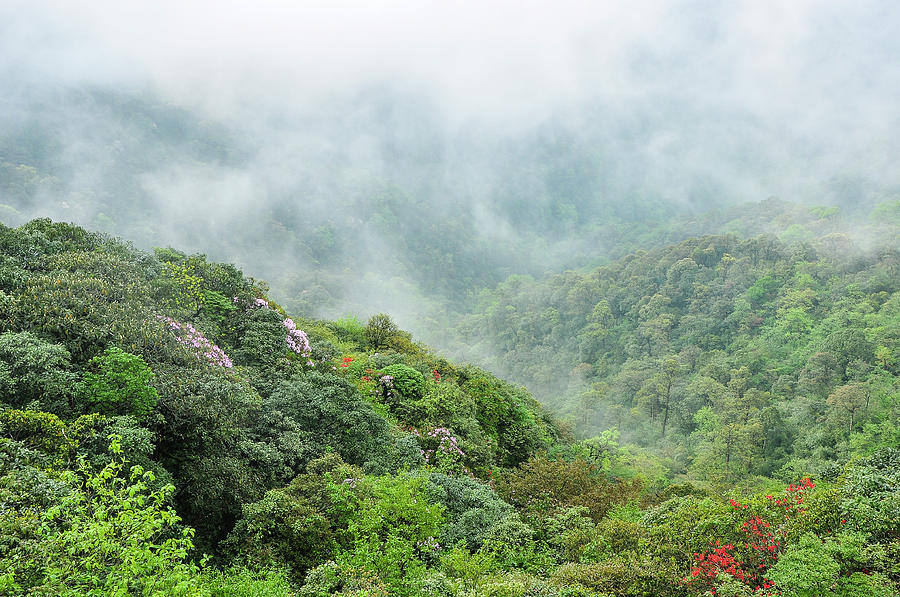 Mountain scenery in the mist #16 Photograph by Carl Ning