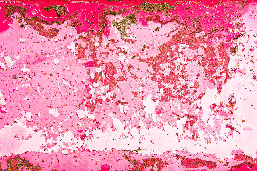 Abstract Photograph - Peeling paint #16 by Tom Gowanlock