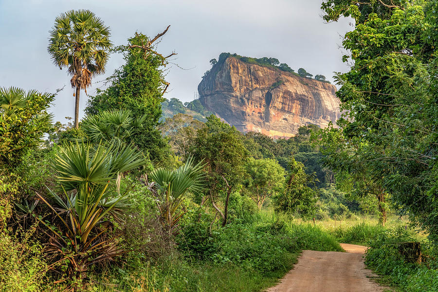 Sigiriya - Sri Lanka #16 Photograph by Joana Kruse