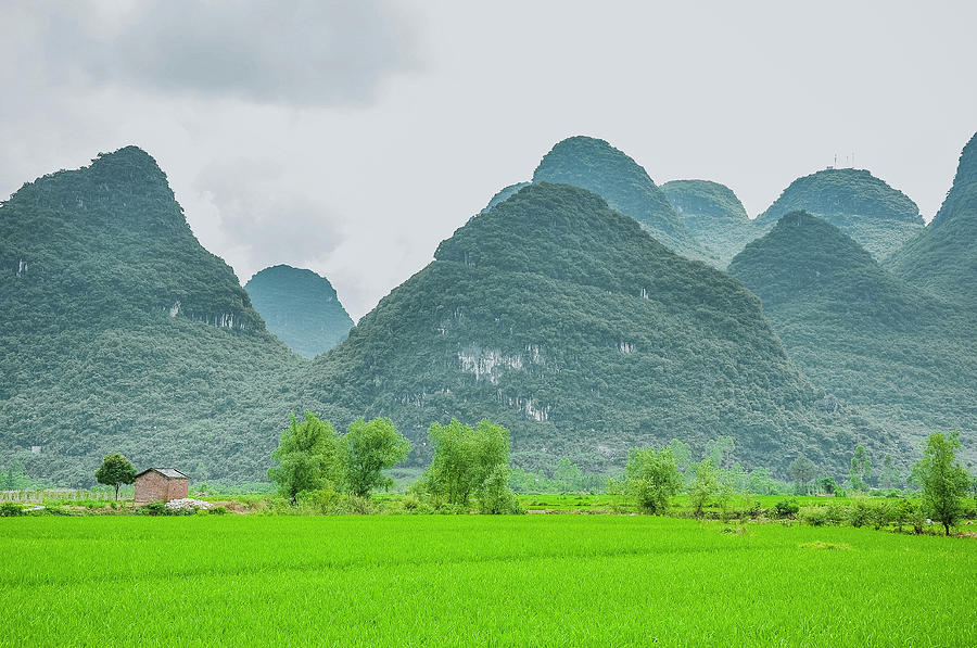 The beautiful karst rural scenery #16 Photograph by Carl Ning