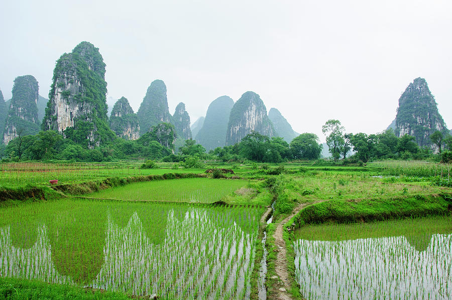 The beautiful karst rural scenery in spring #16 Photograph by Carl Ning