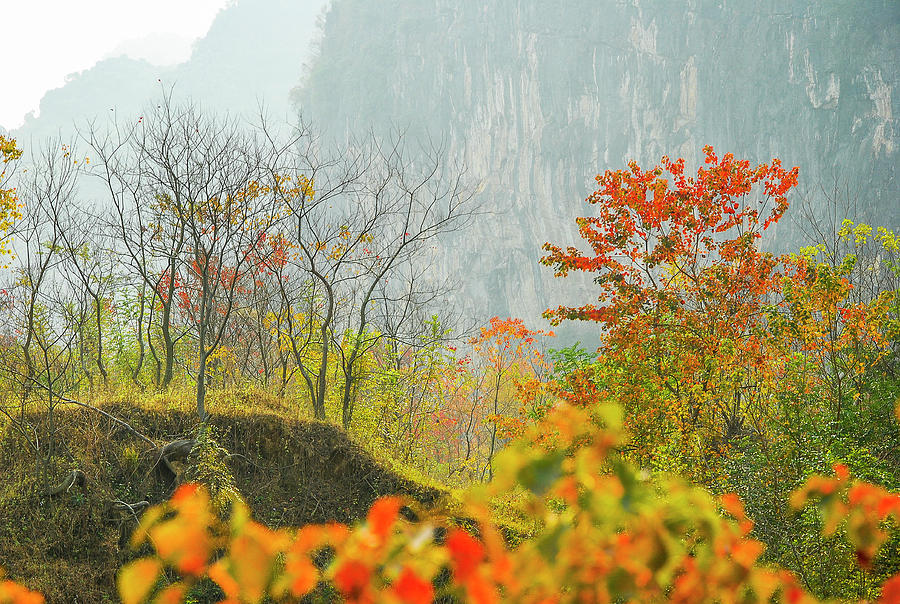 The colorful autumn scenery #16 Photograph by Carl Ning
