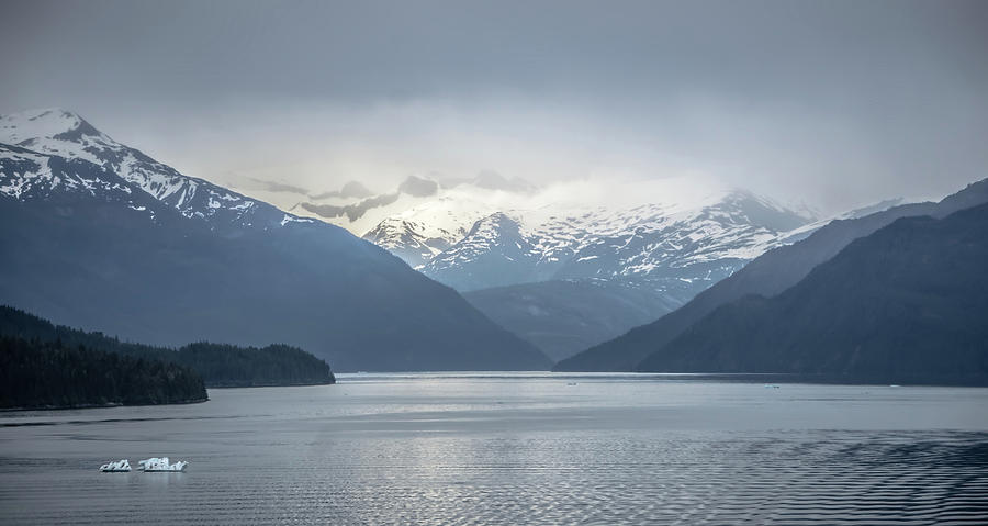 Tracy Arm Fjord Scenery In June In Alaska #16 Photograph by Alex Grichenko