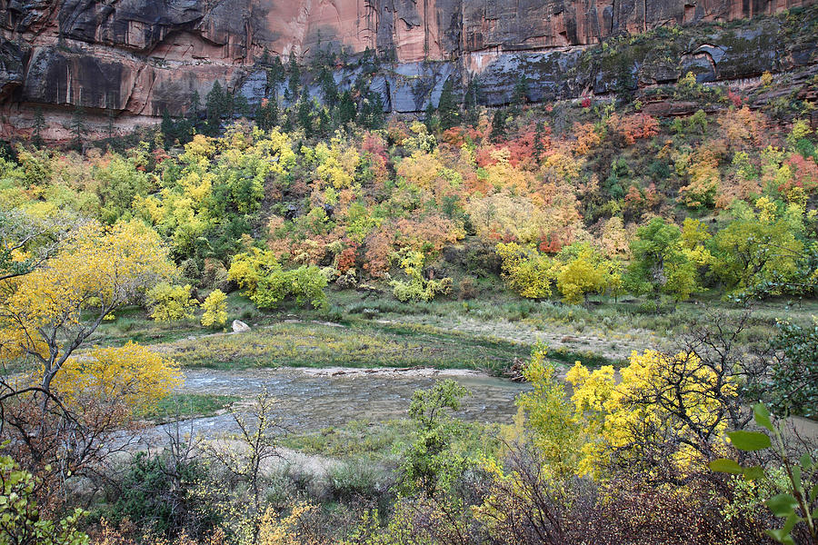 Fall Photograph - Zion National Park in Autumn #16 by Pierre Leclerc Photography