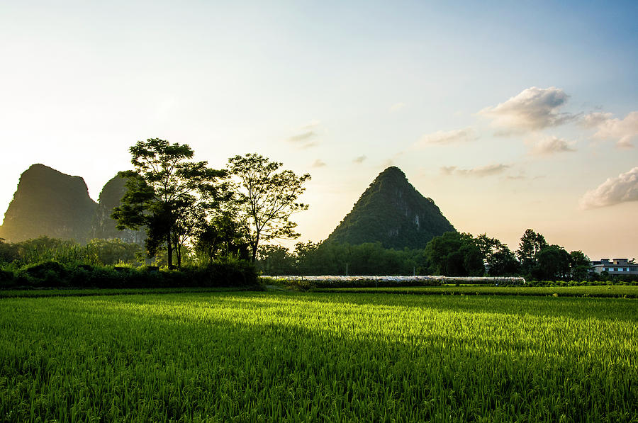 The beautiful karst rural scenery #162 Photograph by Carl Ning