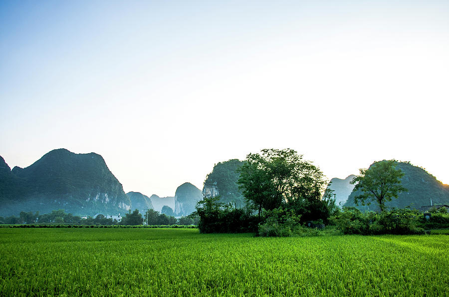 The beautiful karst rural scenery #165 Photograph by Carl Ning