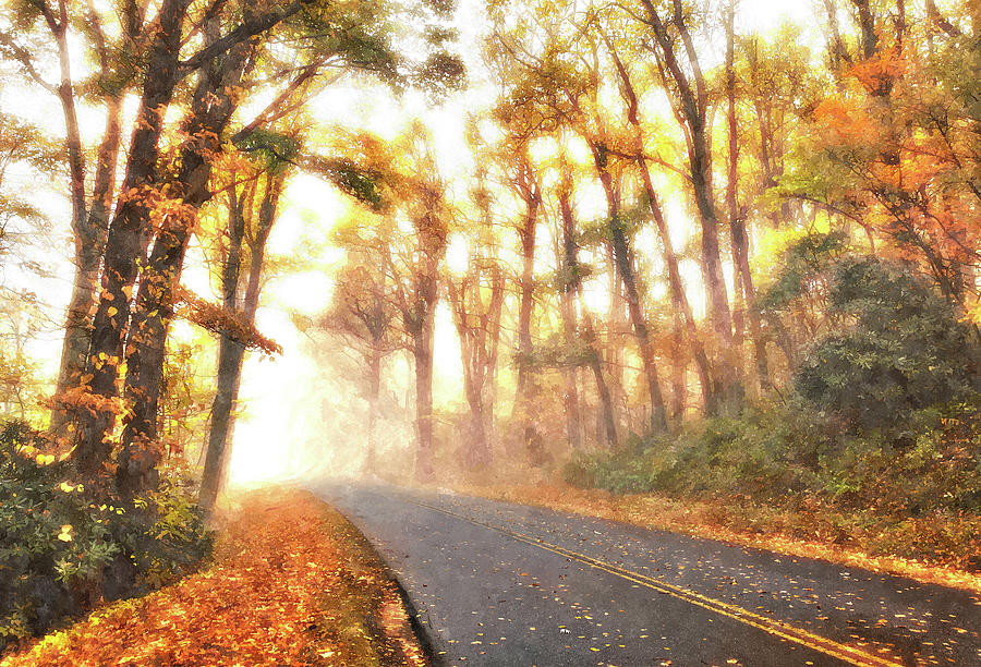 16x20 matted Autumn Blue Ridge Parkway Foggy Day Photograph by Dan Carmichael