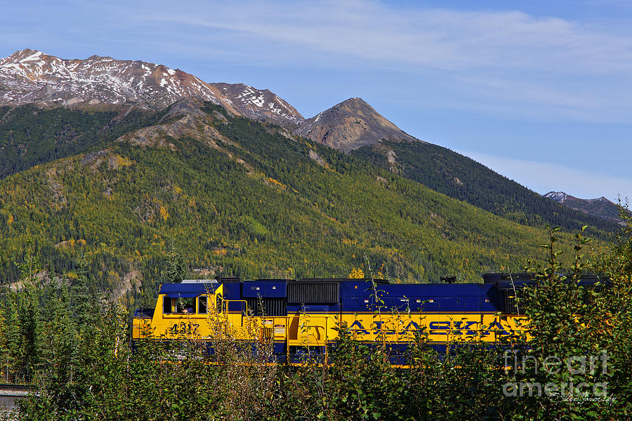 Alaska #17 Photograph by Steve Javorsky