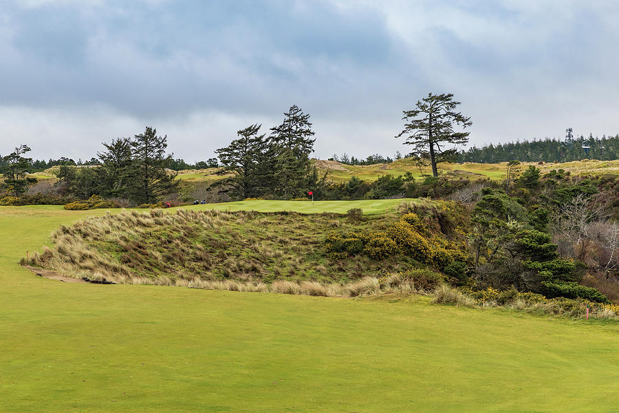 #17 at Bandon Dunes Golf Course #17 Photograph by Mike Centioli