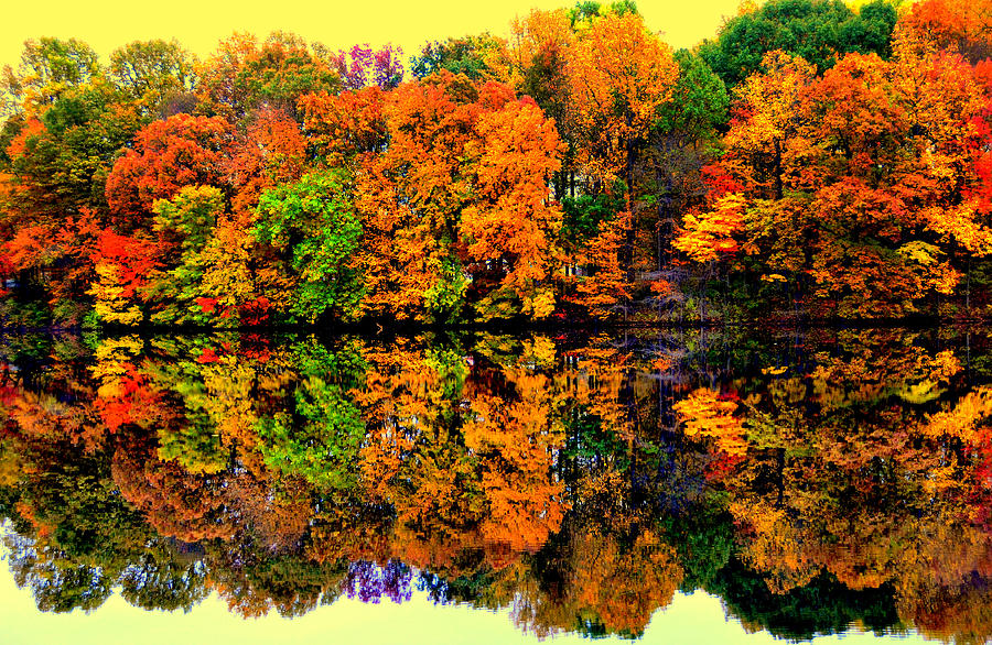 Autumn Colors #17 Digital Art by Aron Chervin