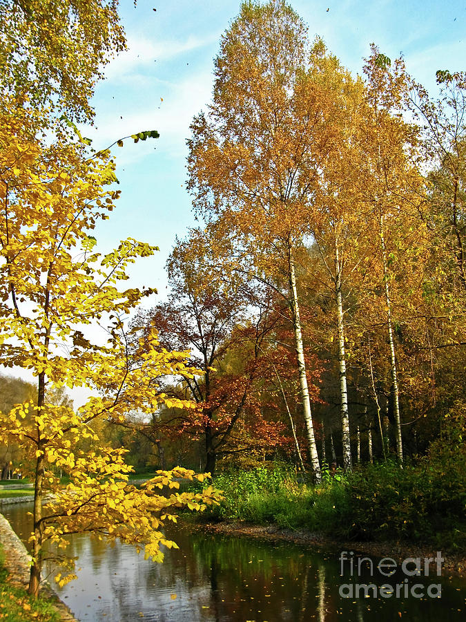 Autumn landscape #17 Photograph by Irina Afonskaya