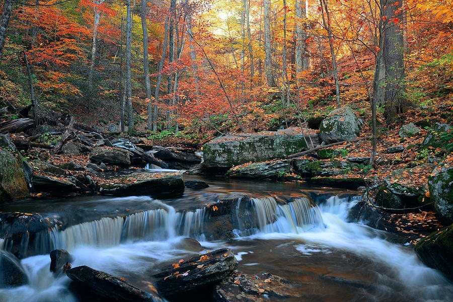 Autumn waterfalls #17 Photograph by Songquan Deng