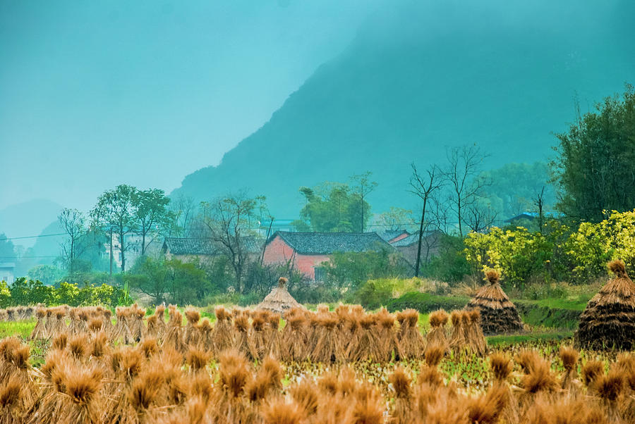 Beautiful countryside scenery in autumn #17 Photograph by Carl Ning