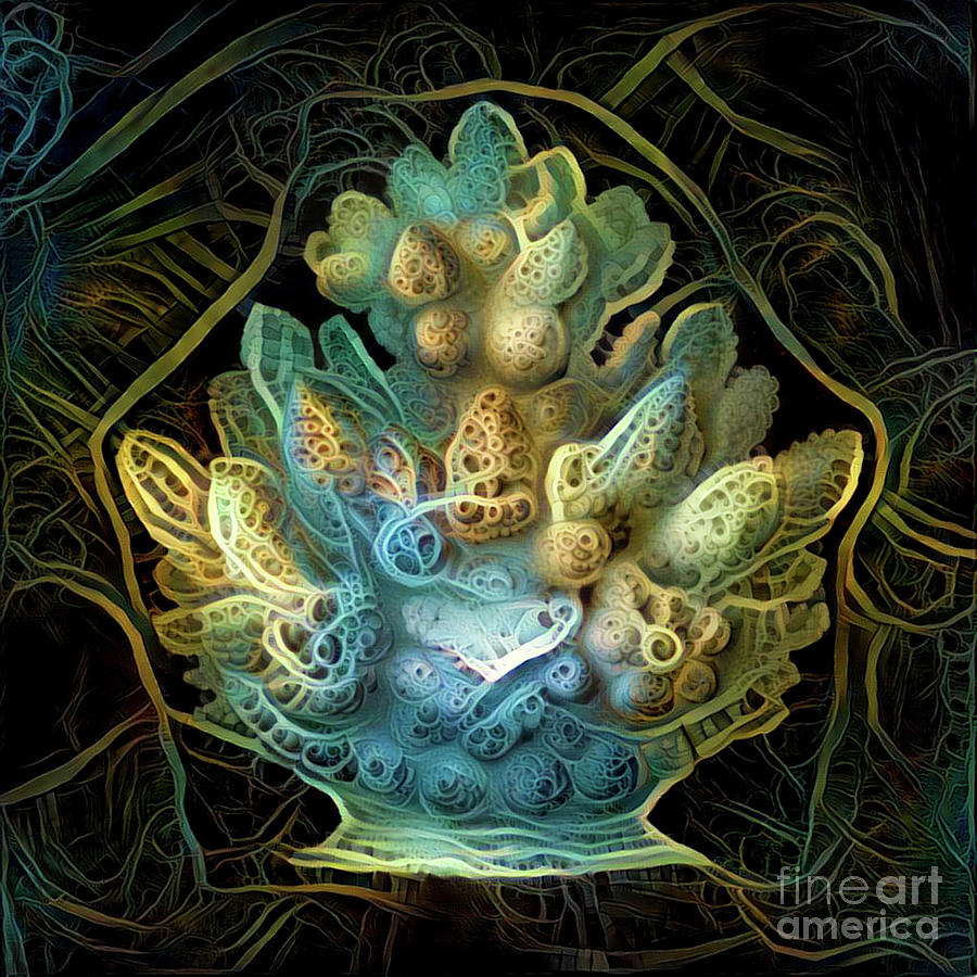 Aqua Digital Art - Beautiful undersea coral #17 by Amy Cicconi