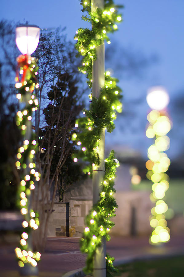 Christmas Lights Holiday Decorations Around Charlotte North Caro #17 Photograph by Alex Grichenko