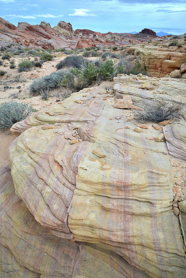 Colorful Sandstone in Valley of Fire #15 Photograph by Ray Mathis