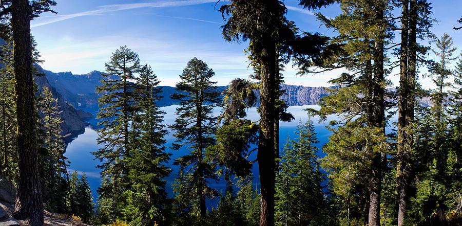 Tree Photograph - Crater Lake National Park #17 by Twenty Two North Photography