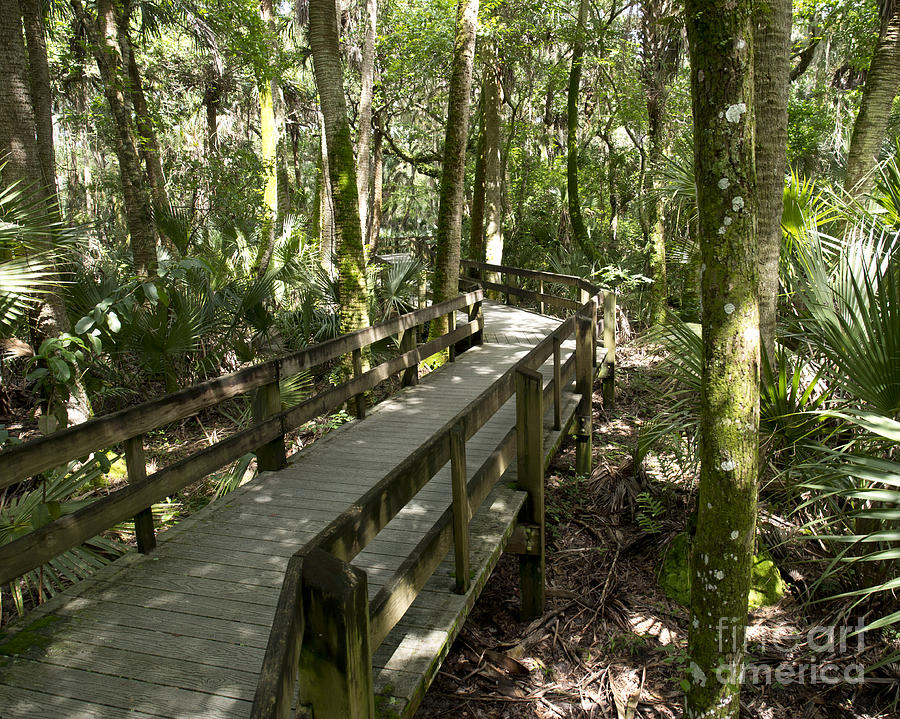 Erna Nixon Park Melbourne Florida Photograph by Allan Hughes - Pixels