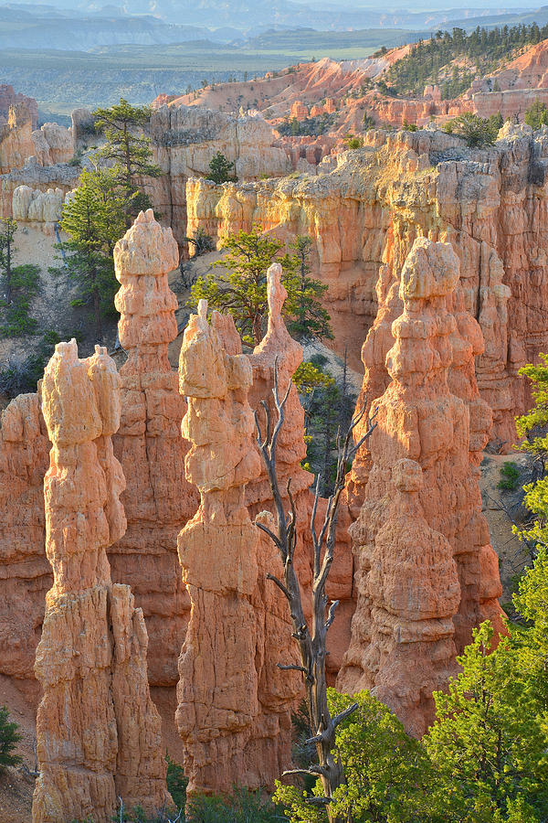 Fairyland Canyon #21 Photograph by Ray Mathis