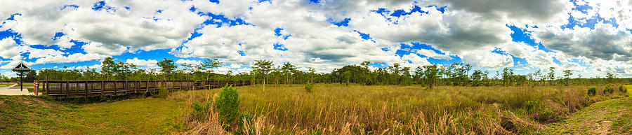 Florida Everglades Photograph by Raul Rodriguez